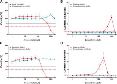 Copper and Cobalt Ions Released from Metal Oxide Nanoparticles Trigger Skin Sensitization